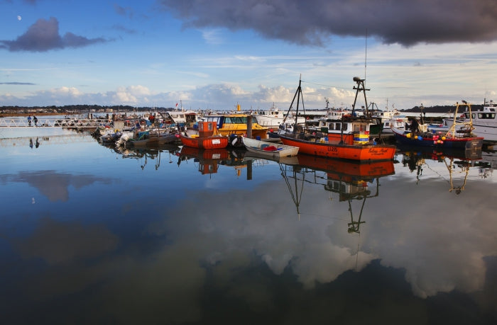 Poole Harbour's Environmental Crisis: The Oil Spill Incident