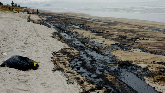 The Unseen Threat: Small-Scale Oil Spills in Freshwater Ecosystems