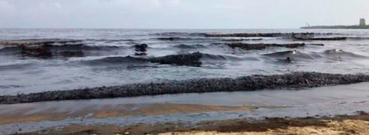 Environmental Impact of Puerto Cabello's 2023 Oil Spill