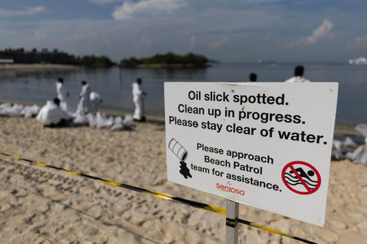 Maritime Collision in Singapore: Oil Spill Blackens Beaches